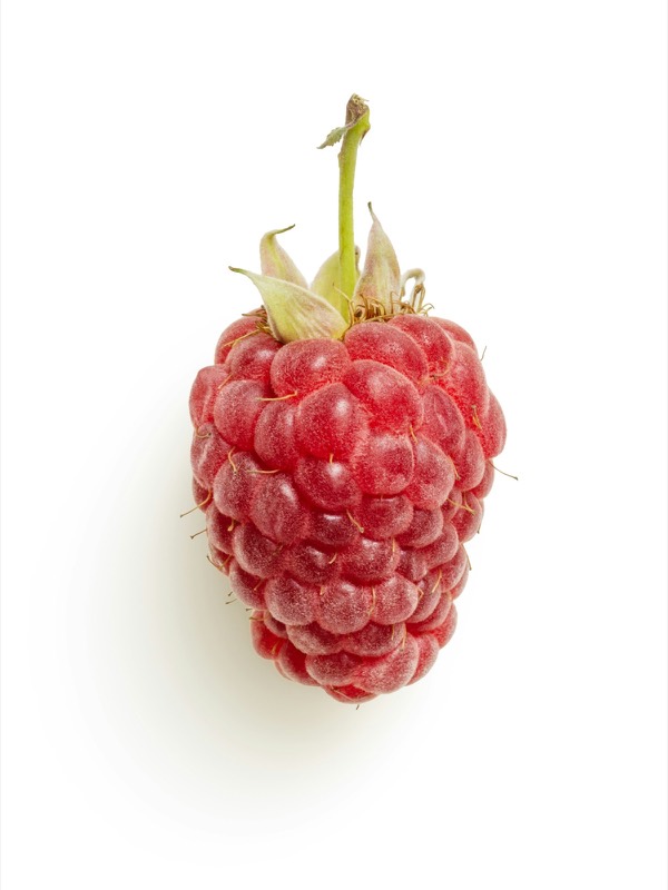 Single raspberry with stem on a white background